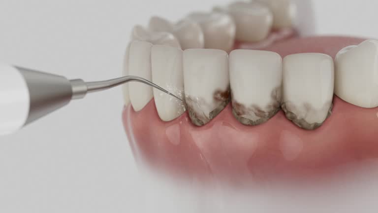 Reliable Dental contractor in Marseilles, IL by Dentist Open Now